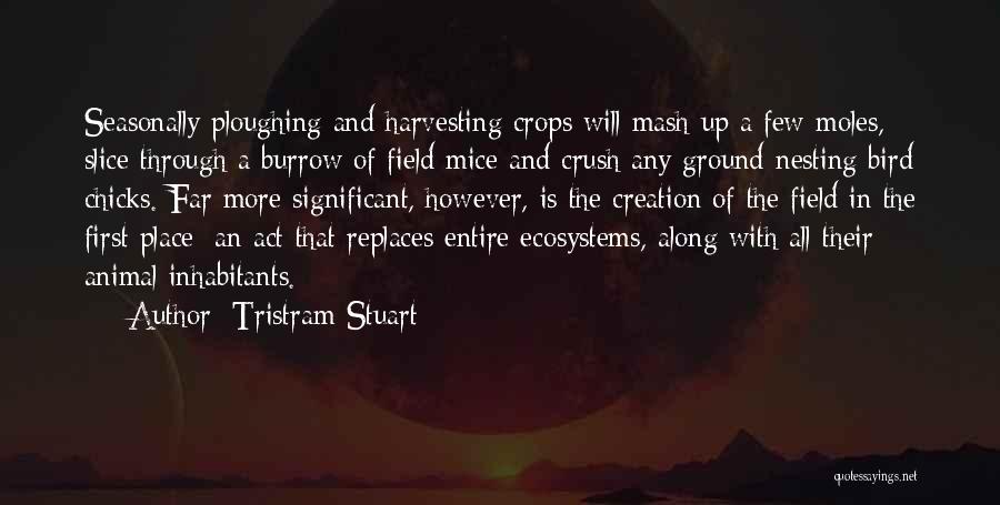 Tristram Stuart Quotes: Seasonally Ploughing And Harvesting Crops Will Mash Up A Few Moles, Slice Through A Burrow Of Field Mice And Crush