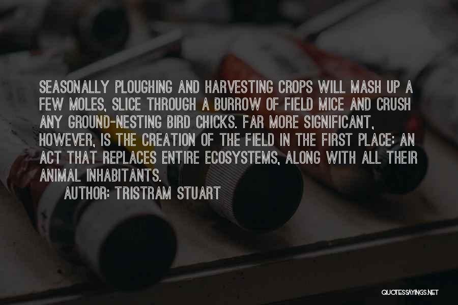 Tristram Stuart Quotes: Seasonally Ploughing And Harvesting Crops Will Mash Up A Few Moles, Slice Through A Burrow Of Field Mice And Crush