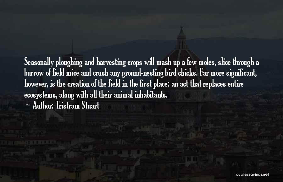 Tristram Stuart Quotes: Seasonally Ploughing And Harvesting Crops Will Mash Up A Few Moles, Slice Through A Burrow Of Field Mice And Crush