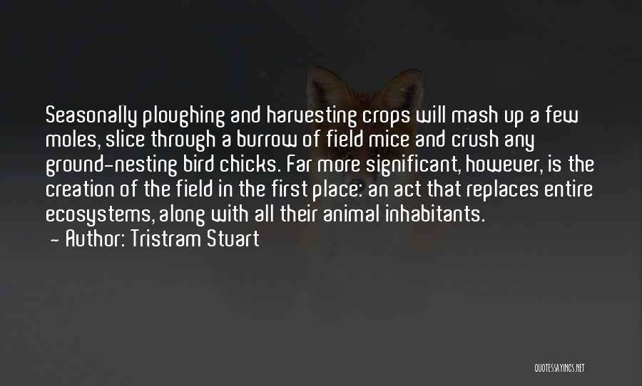 Tristram Stuart Quotes: Seasonally Ploughing And Harvesting Crops Will Mash Up A Few Moles, Slice Through A Burrow Of Field Mice And Crush