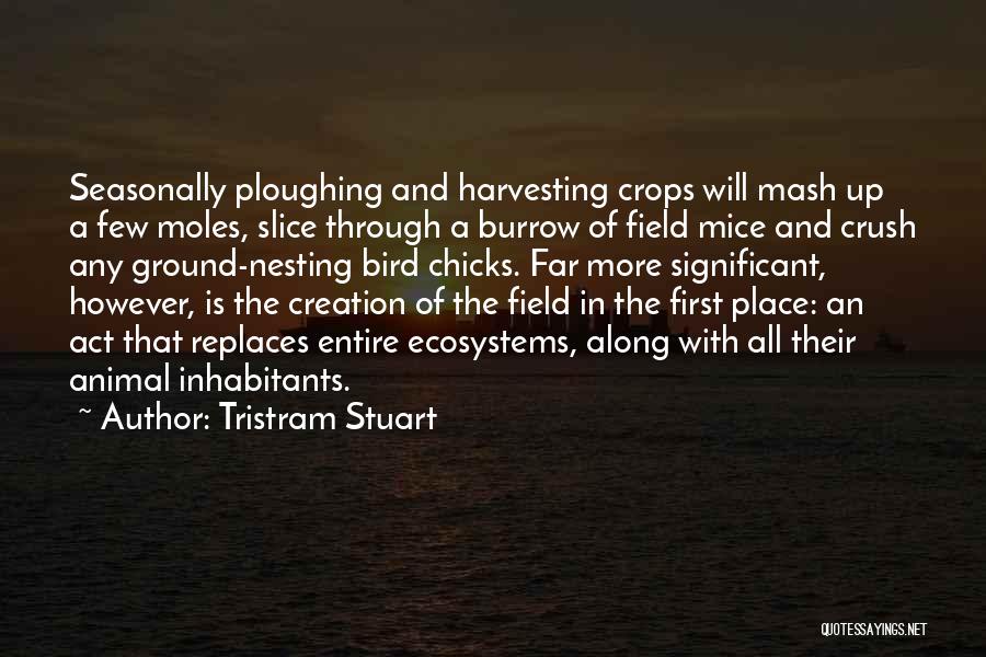 Tristram Stuart Quotes: Seasonally Ploughing And Harvesting Crops Will Mash Up A Few Moles, Slice Through A Burrow Of Field Mice And Crush