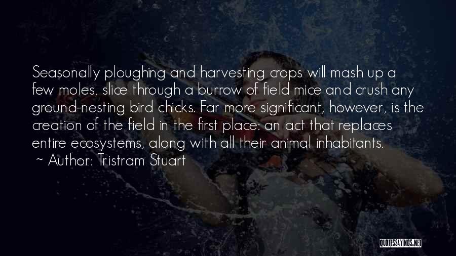 Tristram Stuart Quotes: Seasonally Ploughing And Harvesting Crops Will Mash Up A Few Moles, Slice Through A Burrow Of Field Mice And Crush