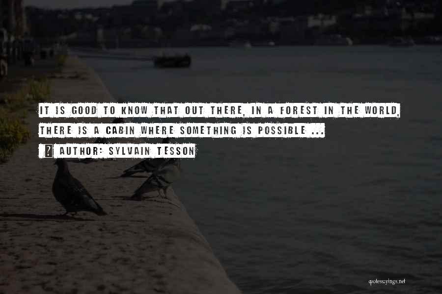 Sylvain Tesson Quotes: It Is Good To Know That Out There, In A Forest In The World, There Is A Cabin Where Something