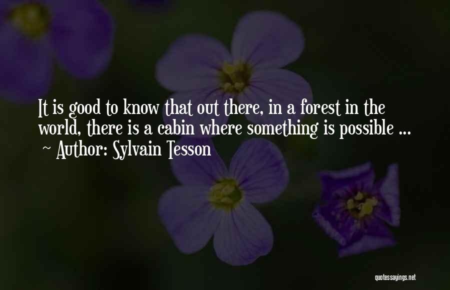 Sylvain Tesson Quotes: It Is Good To Know That Out There, In A Forest In The World, There Is A Cabin Where Something