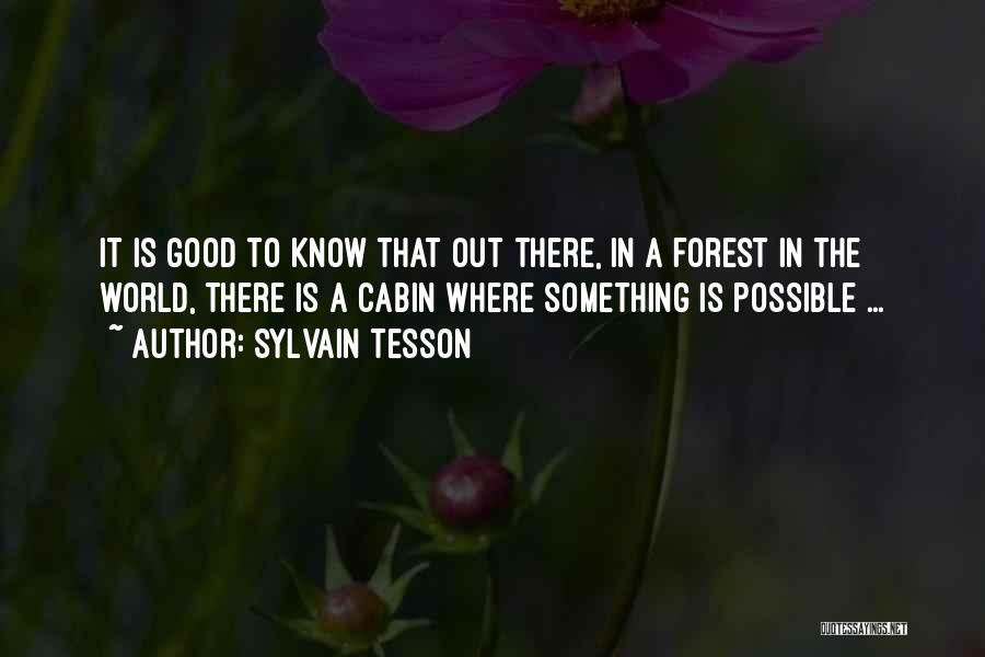 Sylvain Tesson Quotes: It Is Good To Know That Out There, In A Forest In The World, There Is A Cabin Where Something