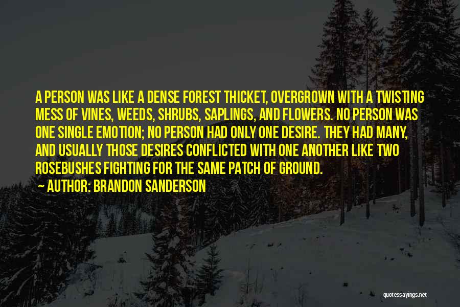 Brandon Sanderson Quotes: A Person Was Like A Dense Forest Thicket, Overgrown With A Twisting Mess Of Vines, Weeds, Shrubs, Saplings, And Flowers.