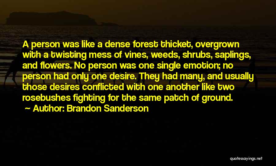 Brandon Sanderson Quotes: A Person Was Like A Dense Forest Thicket, Overgrown With A Twisting Mess Of Vines, Weeds, Shrubs, Saplings, And Flowers.