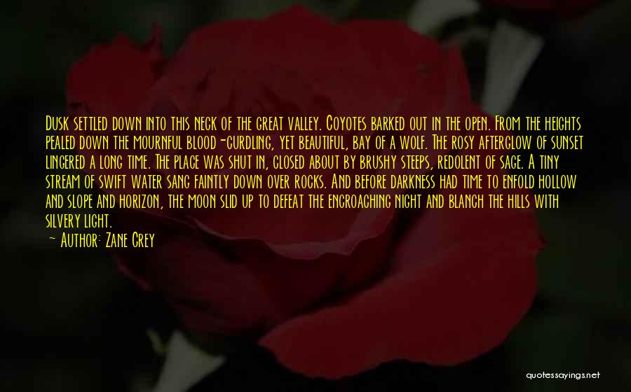 Zane Grey Quotes: Dusk Settled Down Into This Neck Of The Great Valley. Coyotes Barked Out In The Open. From The Heights Pealed