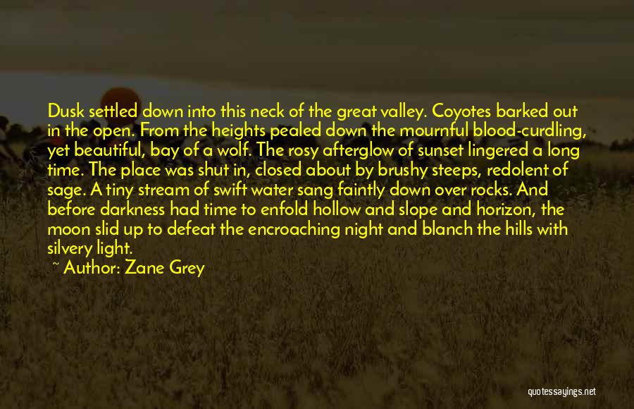 Zane Grey Quotes: Dusk Settled Down Into This Neck Of The Great Valley. Coyotes Barked Out In The Open. From The Heights Pealed