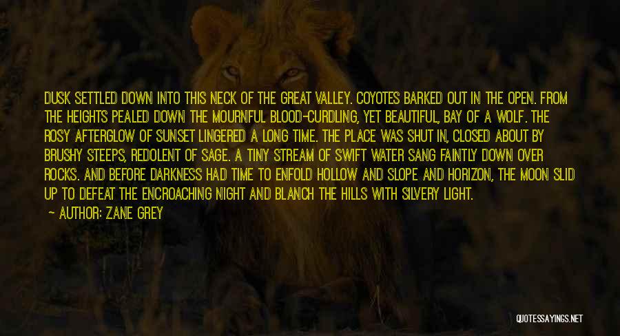 Zane Grey Quotes: Dusk Settled Down Into This Neck Of The Great Valley. Coyotes Barked Out In The Open. From The Heights Pealed