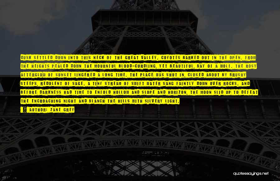 Zane Grey Quotes: Dusk Settled Down Into This Neck Of The Great Valley. Coyotes Barked Out In The Open. From The Heights Pealed