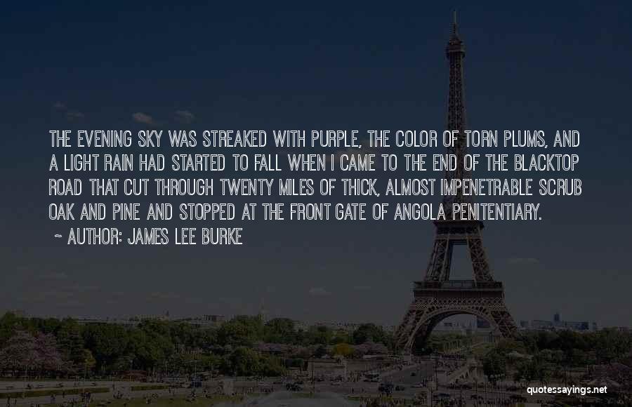 James Lee Burke Quotes: The Evening Sky Was Streaked With Purple, The Color Of Torn Plums, And A Light Rain Had Started To Fall