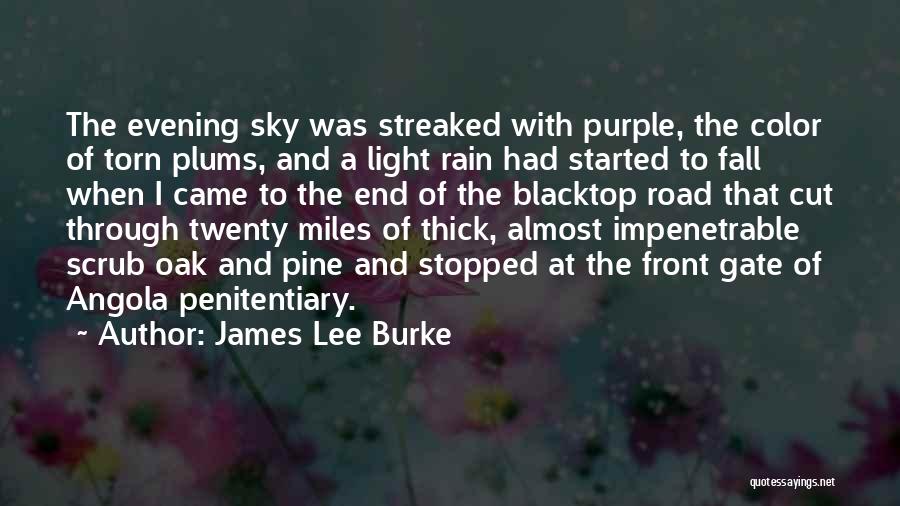 James Lee Burke Quotes: The Evening Sky Was Streaked With Purple, The Color Of Torn Plums, And A Light Rain Had Started To Fall