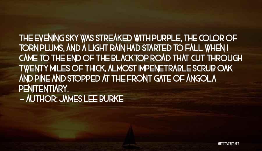 James Lee Burke Quotes: The Evening Sky Was Streaked With Purple, The Color Of Torn Plums, And A Light Rain Had Started To Fall