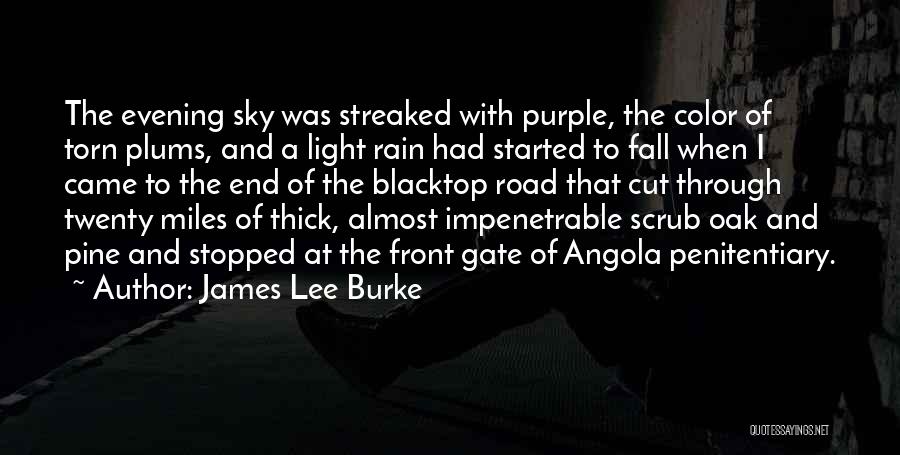 James Lee Burke Quotes: The Evening Sky Was Streaked With Purple, The Color Of Torn Plums, And A Light Rain Had Started To Fall