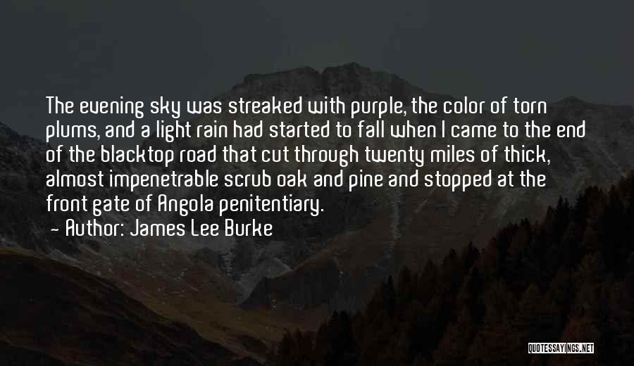 James Lee Burke Quotes: The Evening Sky Was Streaked With Purple, The Color Of Torn Plums, And A Light Rain Had Started To Fall