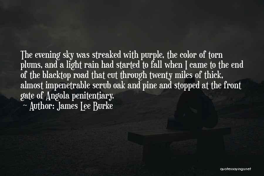 James Lee Burke Quotes: The Evening Sky Was Streaked With Purple, The Color Of Torn Plums, And A Light Rain Had Started To Fall