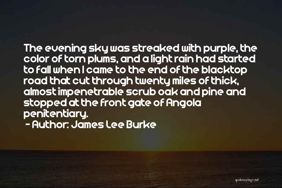 James Lee Burke Quotes: The Evening Sky Was Streaked With Purple, The Color Of Torn Plums, And A Light Rain Had Started To Fall