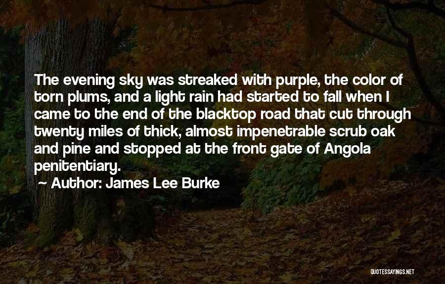 James Lee Burke Quotes: The Evening Sky Was Streaked With Purple, The Color Of Torn Plums, And A Light Rain Had Started To Fall