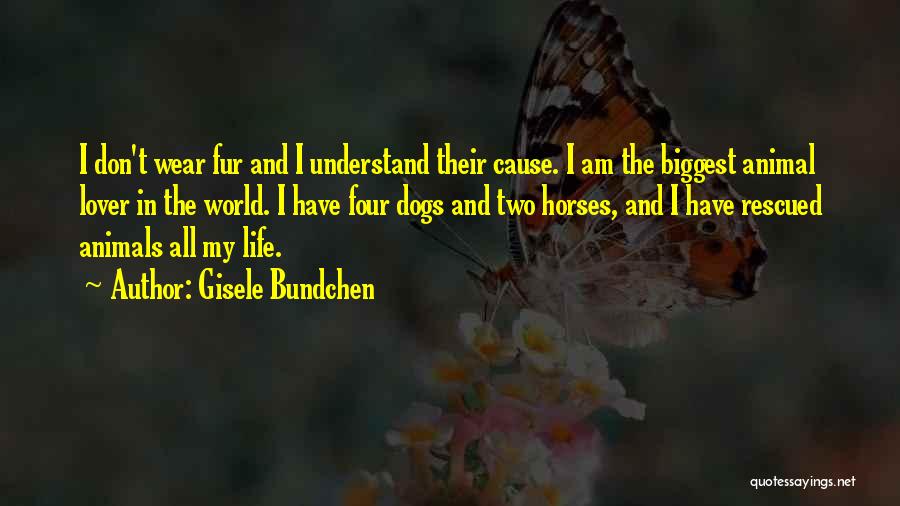 Gisele Bundchen Quotes: I Don't Wear Fur And I Understand Their Cause. I Am The Biggest Animal Lover In The World. I Have