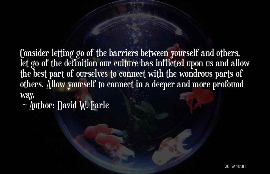 David W. Earle Quotes: Consider Letting Go Of The Barriers Between Yourself And Others, Let Go Of The Definition Our Culture Has Inflicted Upon