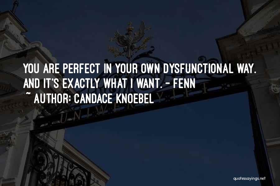 Candace Knoebel Quotes: You Are Perfect In Your Own Dysfunctional Way. And It's Exactly What I Want. - Fenn