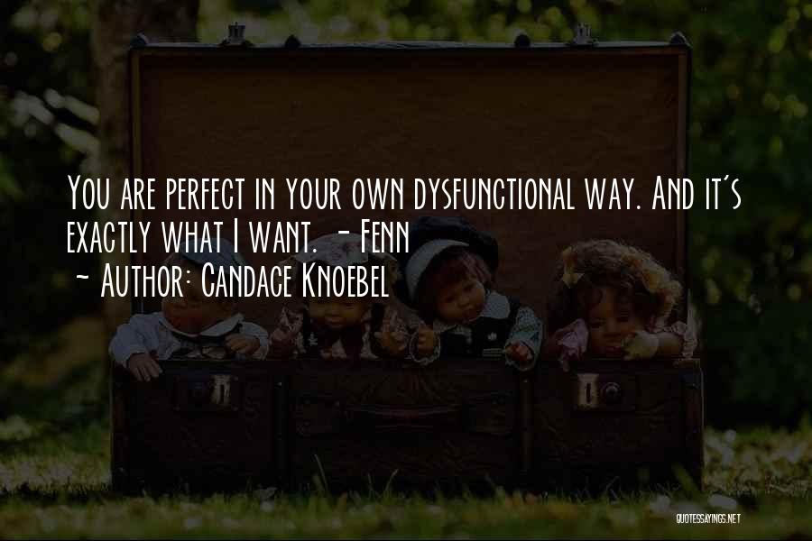 Candace Knoebel Quotes: You Are Perfect In Your Own Dysfunctional Way. And It's Exactly What I Want. - Fenn