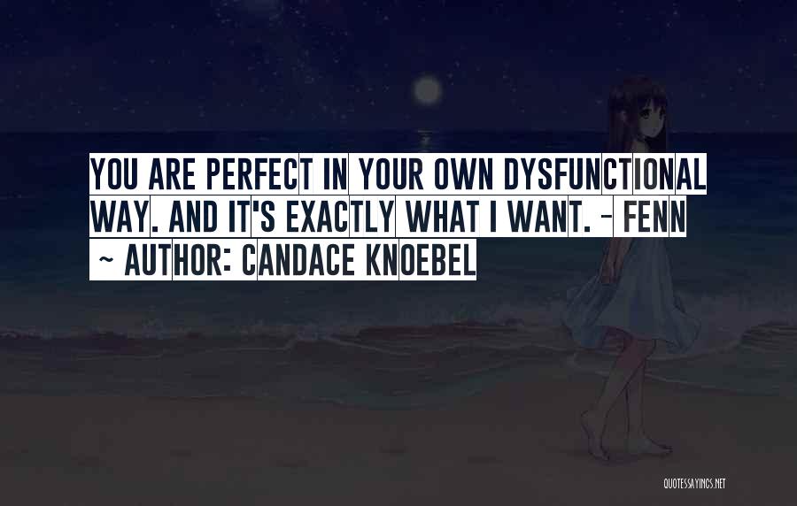 Candace Knoebel Quotes: You Are Perfect In Your Own Dysfunctional Way. And It's Exactly What I Want. - Fenn