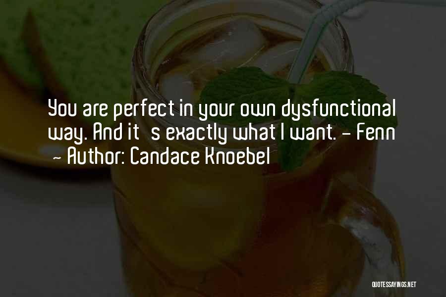 Candace Knoebel Quotes: You Are Perfect In Your Own Dysfunctional Way. And It's Exactly What I Want. - Fenn