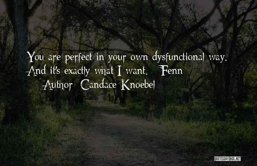 Candace Knoebel Quotes: You Are Perfect In Your Own Dysfunctional Way. And It's Exactly What I Want. - Fenn