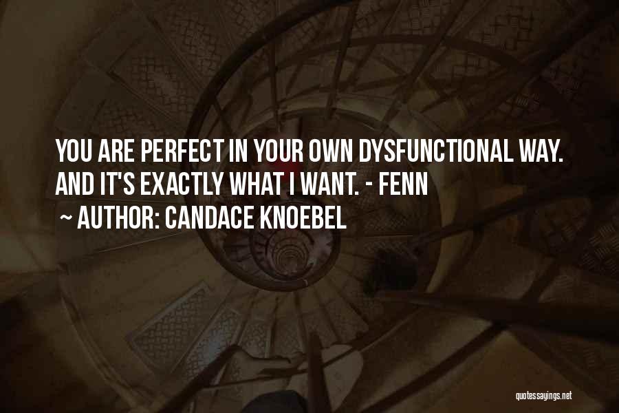 Candace Knoebel Quotes: You Are Perfect In Your Own Dysfunctional Way. And It's Exactly What I Want. - Fenn
