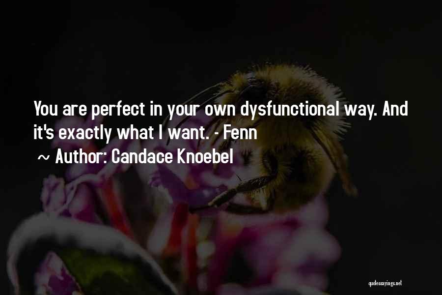 Candace Knoebel Quotes: You Are Perfect In Your Own Dysfunctional Way. And It's Exactly What I Want. - Fenn