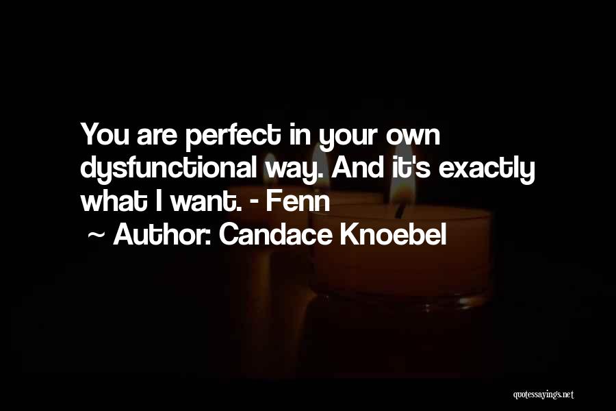 Candace Knoebel Quotes: You Are Perfect In Your Own Dysfunctional Way. And It's Exactly What I Want. - Fenn