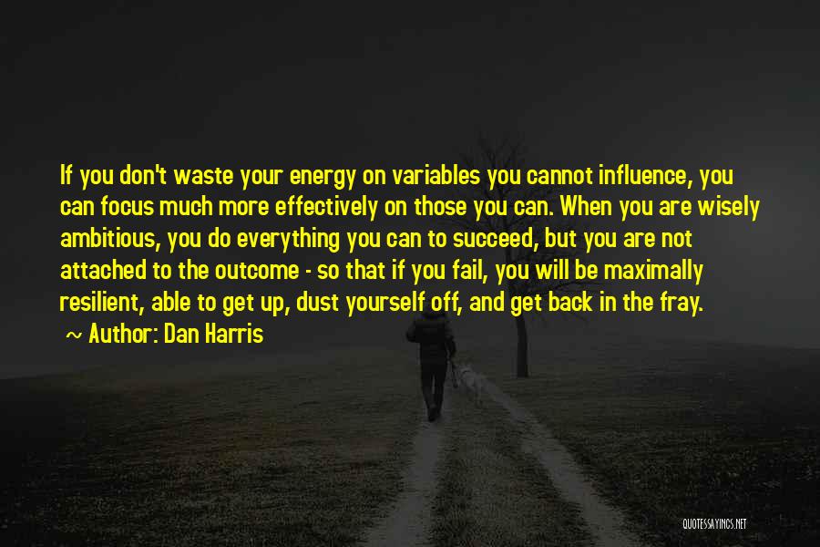 Dan Harris Quotes: If You Don't Waste Your Energy On Variables You Cannot Influence, You Can Focus Much More Effectively On Those You