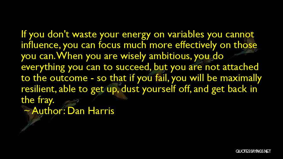 Dan Harris Quotes: If You Don't Waste Your Energy On Variables You Cannot Influence, You Can Focus Much More Effectively On Those You