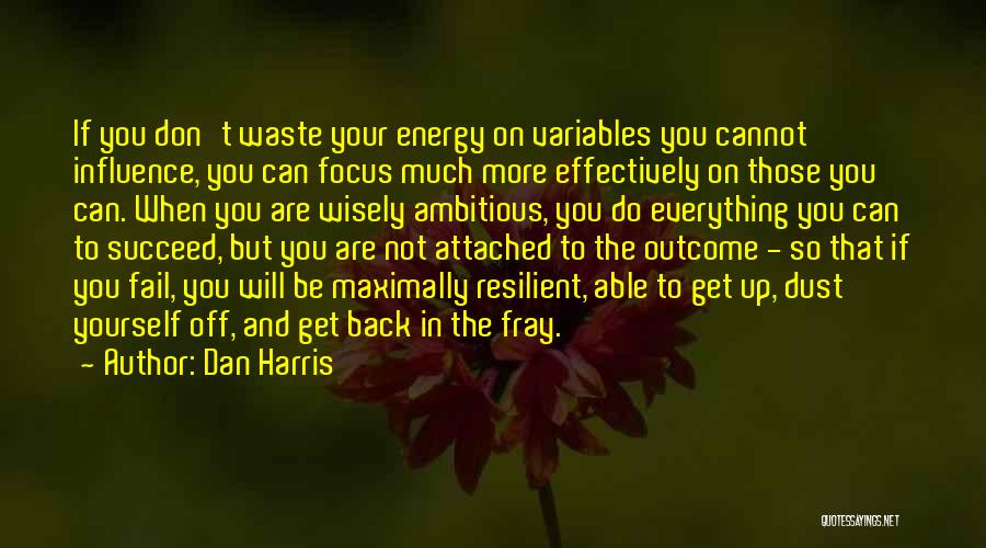 Dan Harris Quotes: If You Don't Waste Your Energy On Variables You Cannot Influence, You Can Focus Much More Effectively On Those You