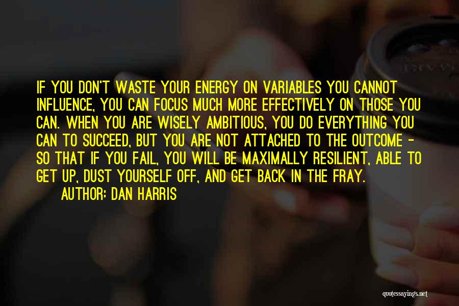 Dan Harris Quotes: If You Don't Waste Your Energy On Variables You Cannot Influence, You Can Focus Much More Effectively On Those You