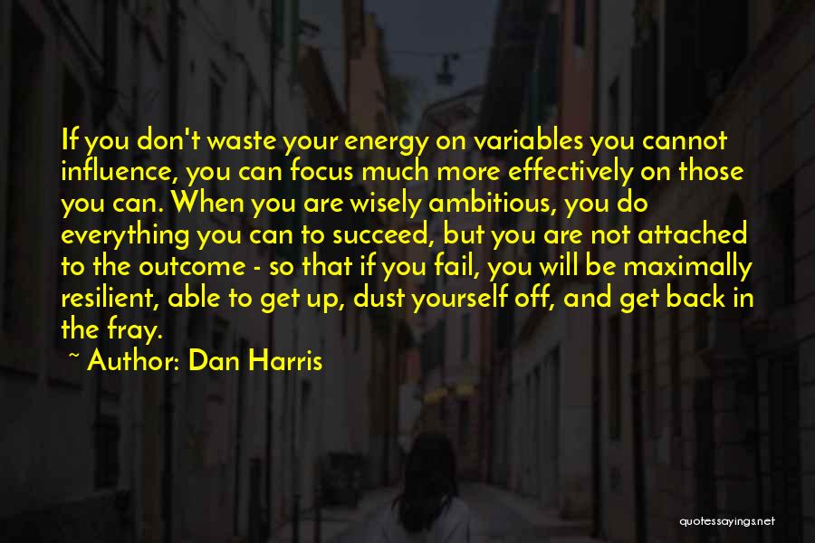 Dan Harris Quotes: If You Don't Waste Your Energy On Variables You Cannot Influence, You Can Focus Much More Effectively On Those You