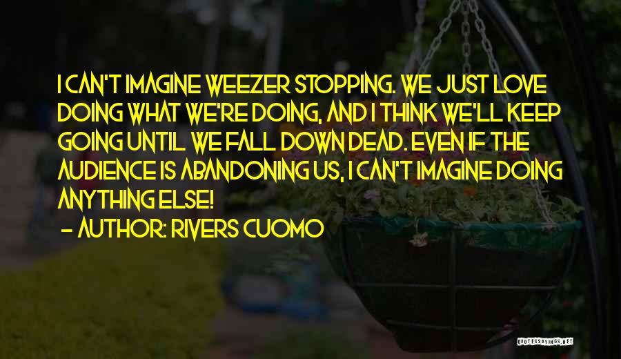 Rivers Cuomo Quotes: I Can't Imagine Weezer Stopping. We Just Love Doing What We're Doing, And I Think We'll Keep Going Until We