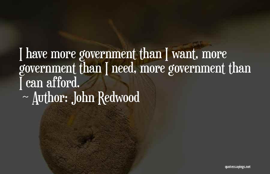 John Redwood Quotes: I Have More Government Than I Want, More Government Than I Need, More Government Than I Can Afford.