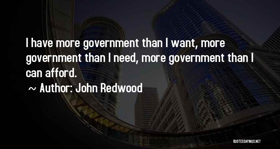 John Redwood Quotes: I Have More Government Than I Want, More Government Than I Need, More Government Than I Can Afford.