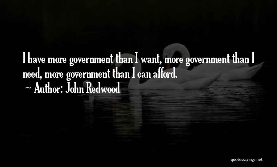 John Redwood Quotes: I Have More Government Than I Want, More Government Than I Need, More Government Than I Can Afford.