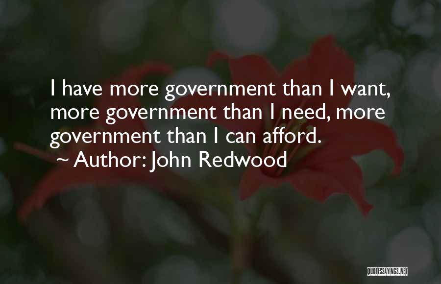 John Redwood Quotes: I Have More Government Than I Want, More Government Than I Need, More Government Than I Can Afford.