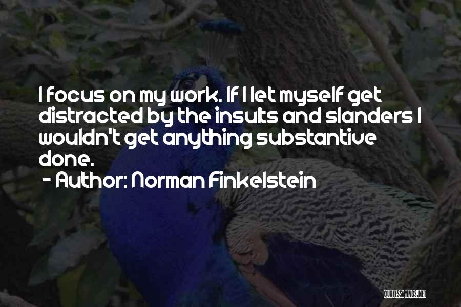 Norman Finkelstein Quotes: I Focus On My Work. If I Let Myself Get Distracted By The Insults And Slanders I Wouldn't Get Anything
