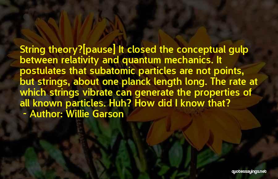 Willie Garson Quotes: String Theory?[pause] It Closed The Conceptual Gulp Between Relativity And Quantum Mechanics. It Postulates That Subatomic Particles Are Not Points,