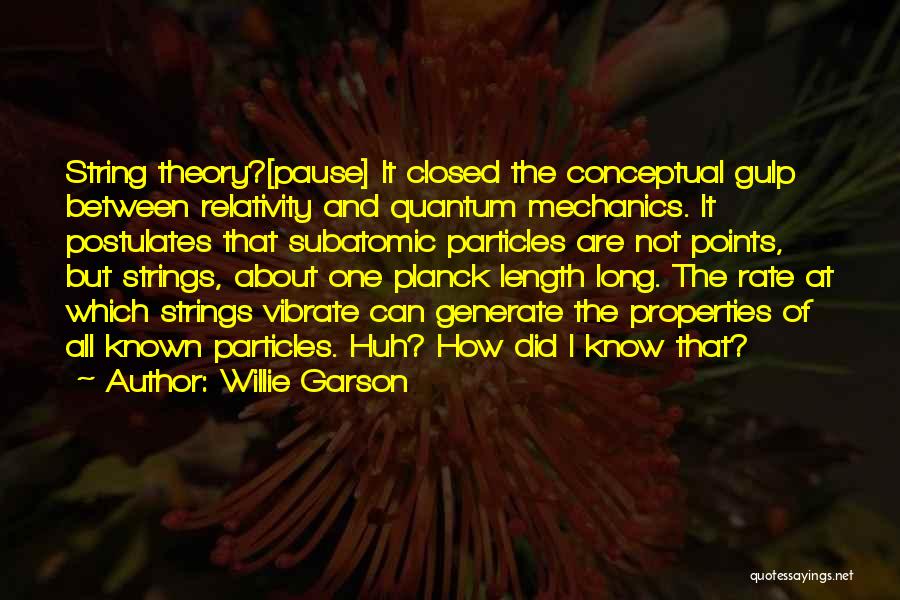Willie Garson Quotes: String Theory?[pause] It Closed The Conceptual Gulp Between Relativity And Quantum Mechanics. It Postulates That Subatomic Particles Are Not Points,