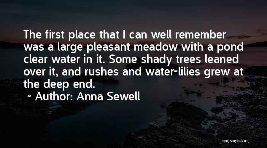 Anna Sewell Quotes: The First Place That I Can Well Remember Was A Large Pleasant Meadow With A Pond Clear Water In It.