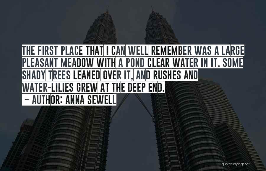 Anna Sewell Quotes: The First Place That I Can Well Remember Was A Large Pleasant Meadow With A Pond Clear Water In It.