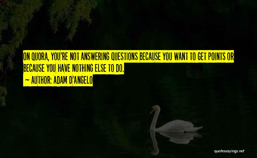 Adam D'Angelo Quotes: On Quora, You're Not Answering Questions Because You Want To Get Points Or Because You Have Nothing Else To Do.