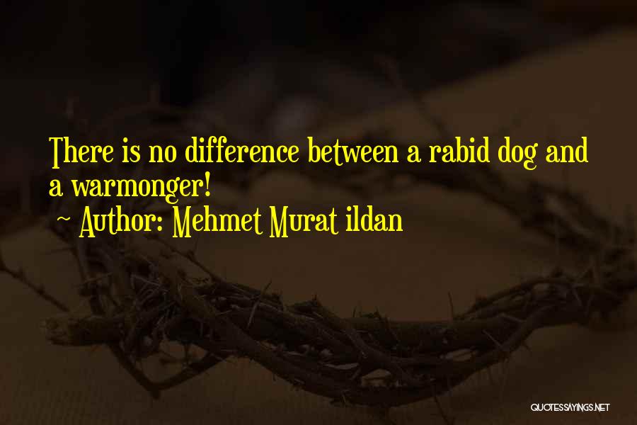 Mehmet Murat Ildan Quotes: There Is No Difference Between A Rabid Dog And A Warmonger!